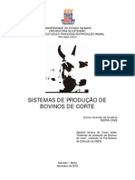 PRODUÇÃO DE GADO DE CORTE - 01.pdf