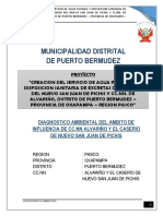 Diagnostico-Ambiental Alvariño - San Juan Pichis.docx