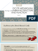 Erythrocyte Metabolism and Membrane Structure and Function