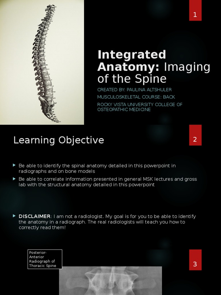 Integrated Anatomy Imaging Of The Spine Pdf Vertebra Vertebral