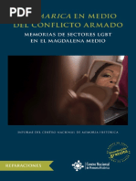 LGBT Magdalena Medio | PDF | Homosexualidad | Transgénero