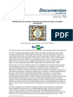 Identificação dos principais Coleoptera associados a produtos armazenados