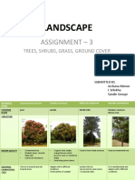Landscape: Assignment - 3