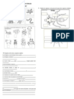 Guia para Prueba de Invertebrados
