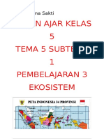 Bahan Ajar Kelas 5 Tema 5 Subtema 1 Pemb