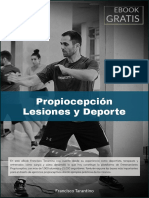 Mis lesiones deportivas y el descubrimiento del entrenamiento propioceptivo