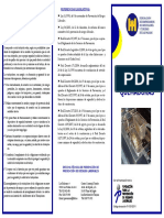 Anexo Circu 059 PRL PDF