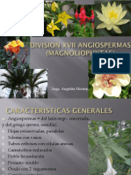 5.1division Xvii Angiospermas (Magnoliophytas) 2018