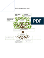 Modelo visual organizador efectos causas metas