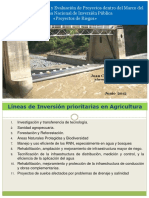 Formulación y evaluación_Riegos_Ing Juan Chavez 2012.pdf