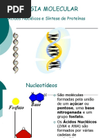 acidosnucleicos.ppt