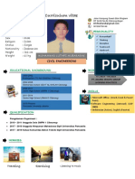Curriculum Vitae: Profil