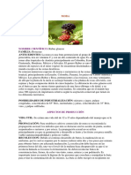 50654641-Ficha-Tecnica-Mora.pdf