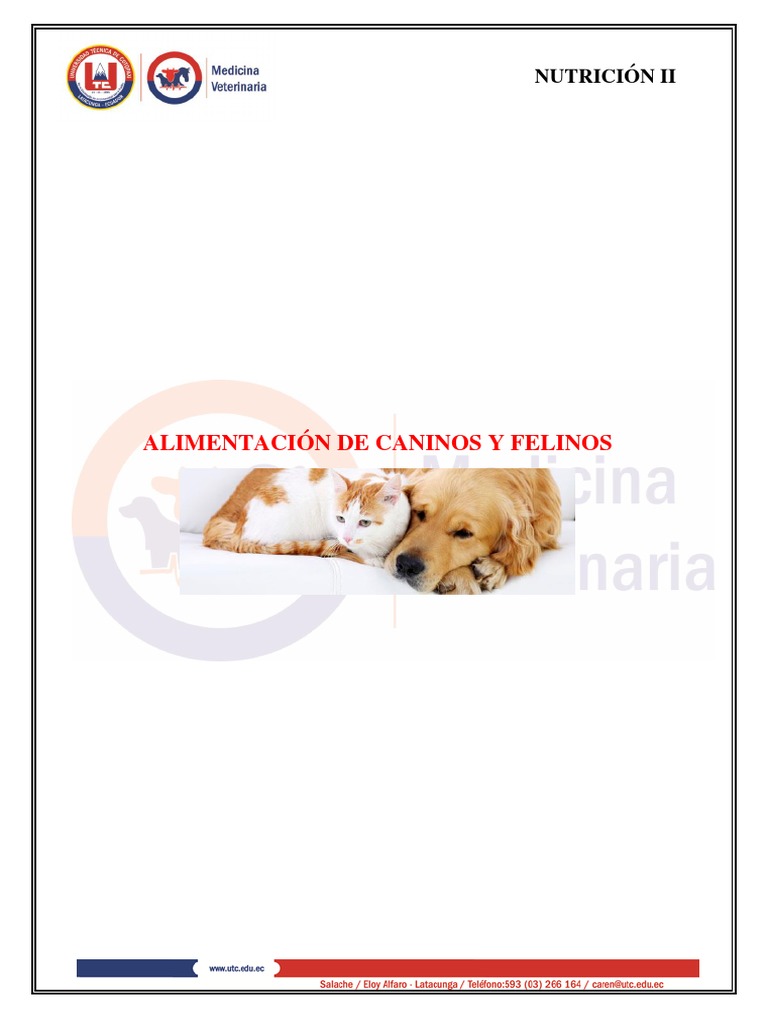 NUTRICIÓN CANINA Carbohidratos Alimentos