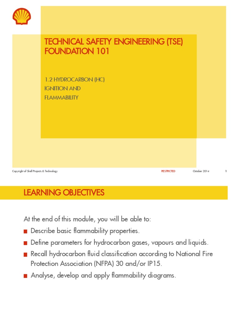 12 Hydrocarbons Ignition and Flammability PDF Combustion