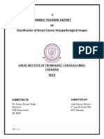 Classification of Breast Cancer Histopathological Images