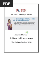 Palium Skills Academy: Microsoft Training Brochure