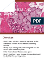 2.medical School Histology Epithelium and Glands
