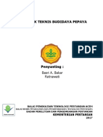 01-Edited-JuknisPepaya.pdf