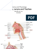 Anatomy and Physiology of the Pharynx-larynx-trachea