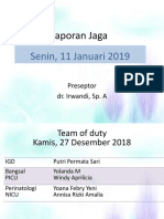 Lapjag 11 Jan 2019