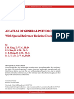 King John Atlas Pathology I PDF