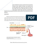 Manifestasi Bronchitis