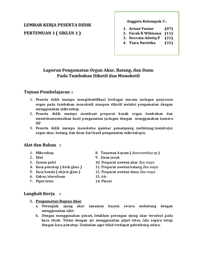 Pengamatan Struktur Tumbuhan Dikotil | PDF | Griya & Taman | Sains
