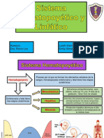 Sistema Hematopoyético y Linfático Expo