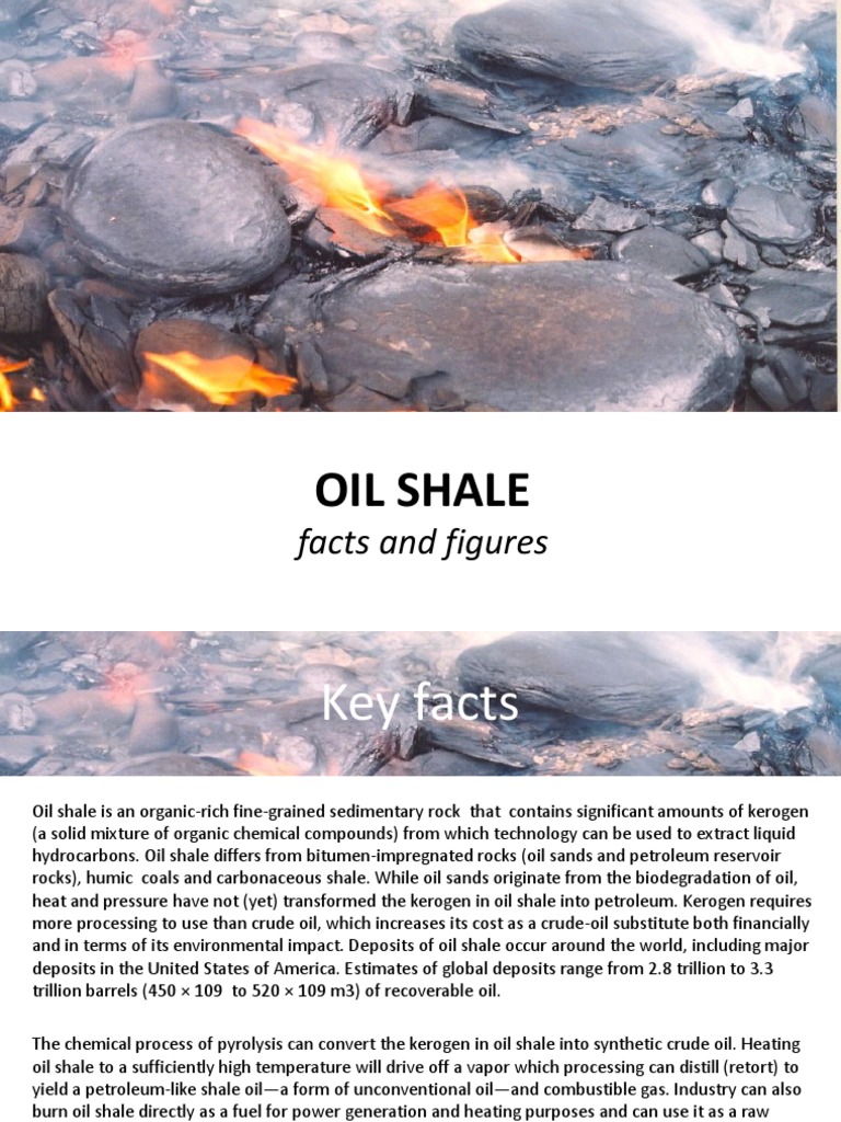 Oil Shale: Facts and Uses | PDF | Oil Shale | Petroleum
