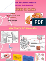 cancer-de-mama (1) (1)