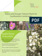 Native and Drought-Tolerant Plants For Southwestern Landscapes