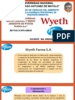 Politica de Seguridad , Salud Ocupacional y Medio Ambiente de La Empresa Wyeth Farma s.A