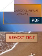 Report Text