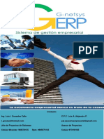 G-netsys ERP: sistema de gestión empresarial integral