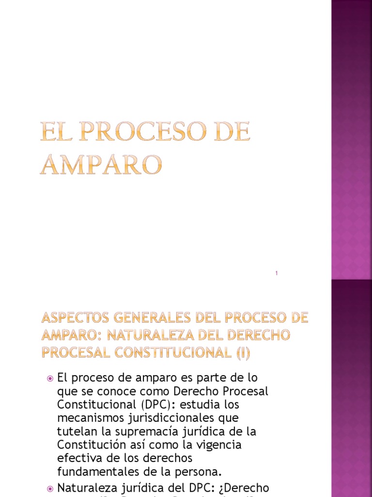 Proceso de Amparo | PDF | Ley procesal | Derecho Constitucional