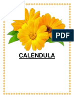 CALENDULA