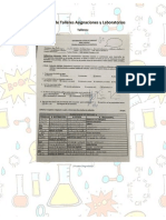 Talleres Asignaciones y Laboratorios