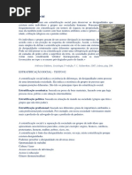 Estratificação Social