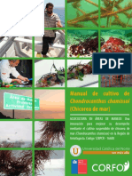 Manual Chicorea PDF