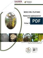 Ficha Técnica de Moko Del Platano PDF