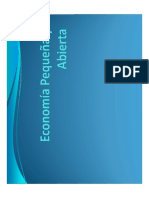 9 Economía Pequeña y Abierta - Sector Externo 2o. Parcial