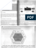 Serra Et Al Cap4 - Análise do Ambiente Externo - Gestão