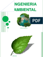 N° 01 Ingenieria Ambiental