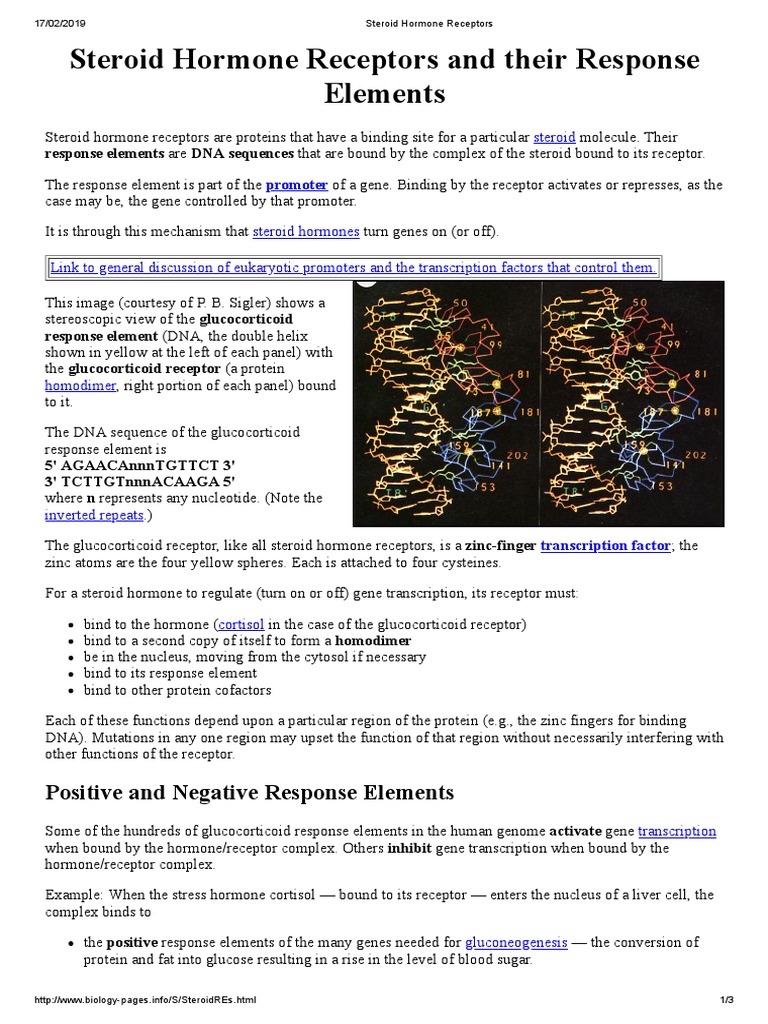Steroid Hormone Receptors | PDF | Steroid Hormone | Hormone