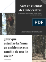Aves en Cuencas de Chile Central - Congreso Ornitologia - Nov - 2017