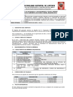 TDR CAMIONETA - Junio.docx