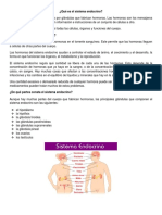 Qué Es El Sistema Endocrino