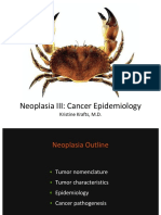10 Neoplasia III Cancer Epidemiology PDF