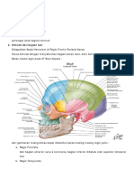 FEY - CT Scan Lessen.pdf